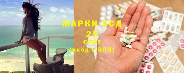 шишки Тихвин