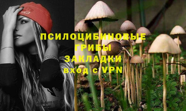 герыч Каменногорск
