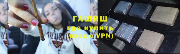 гидра Карпинск