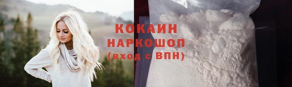 гидра Карпинск