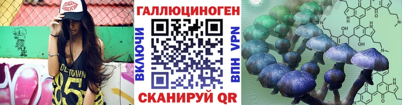 Псилоцибиновые грибы Magic Shrooms  Купить где  Дмитровск 